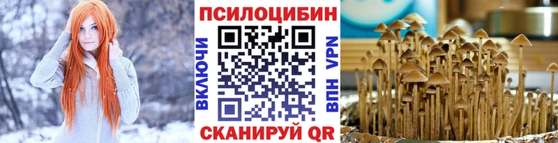 Псилоцибиновые грибы Magic Shrooms Гаврилов-Ям