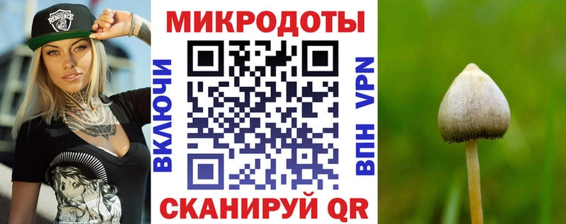 Купить  Гаврилов-Ям  Псилоцибиновые грибы Magic Shrooms 